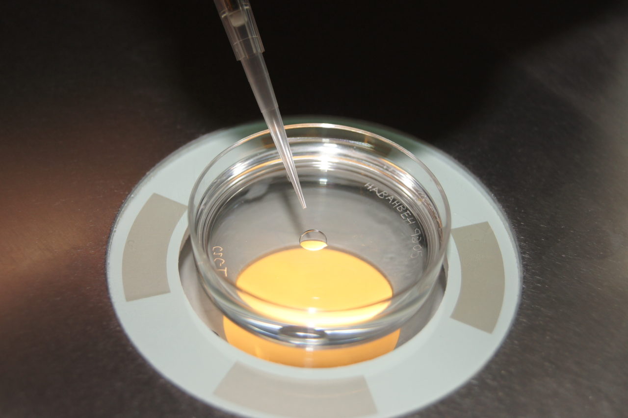 Embryo Culture Media Austin Fertility Center IVF Process Embryos