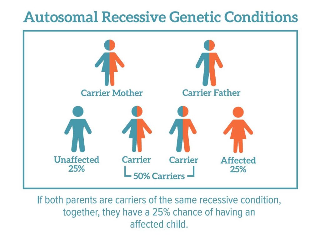 genetic screening before pregnancy in Austin
